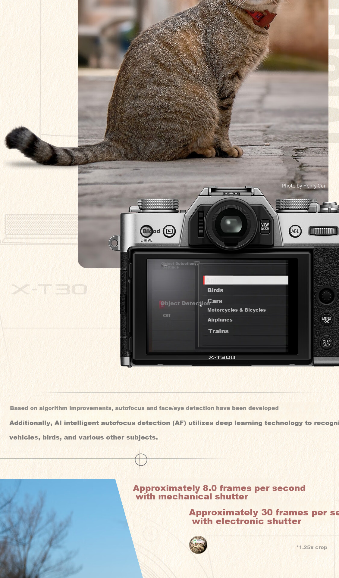 FUJIFILM X-T30 III/XT30 III Mirrorless Camera (15-45mm Lens) Gray 26.1MP Film Simulation Dial Enhanced Performance Autofocus 8