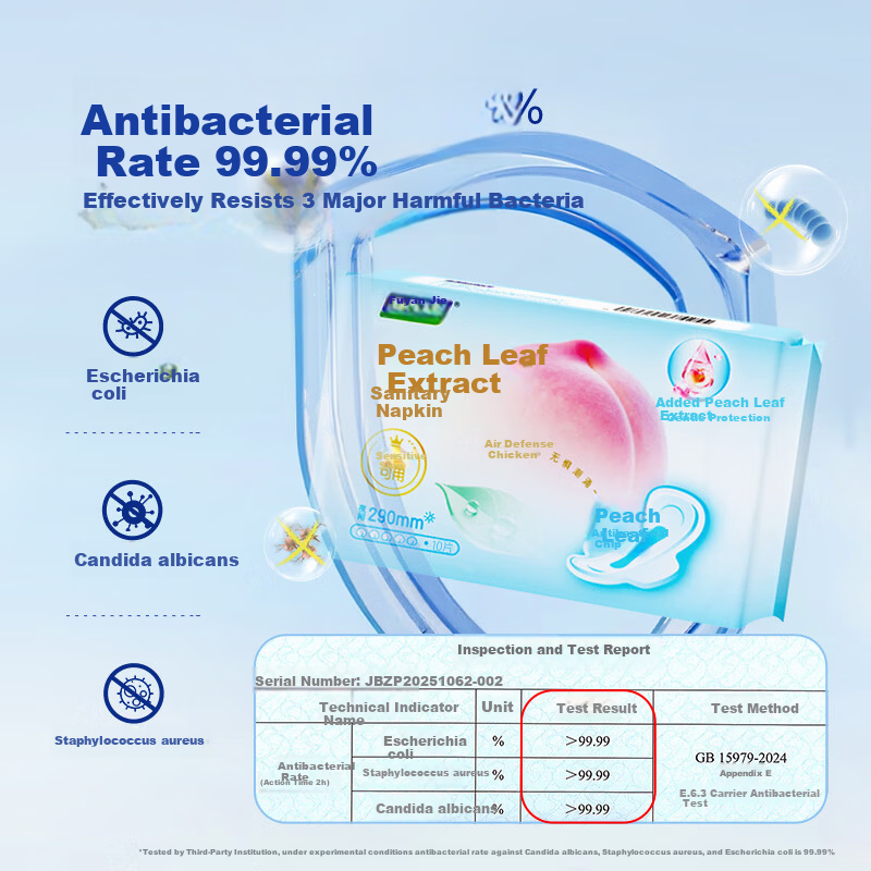 Fuyan Jie Sanitary Napkins Peach Leaf Extract Ultra Thin Instant Absorption Antibacterial Day Use 245mm*10pcs Suitable for Sensitive Skin