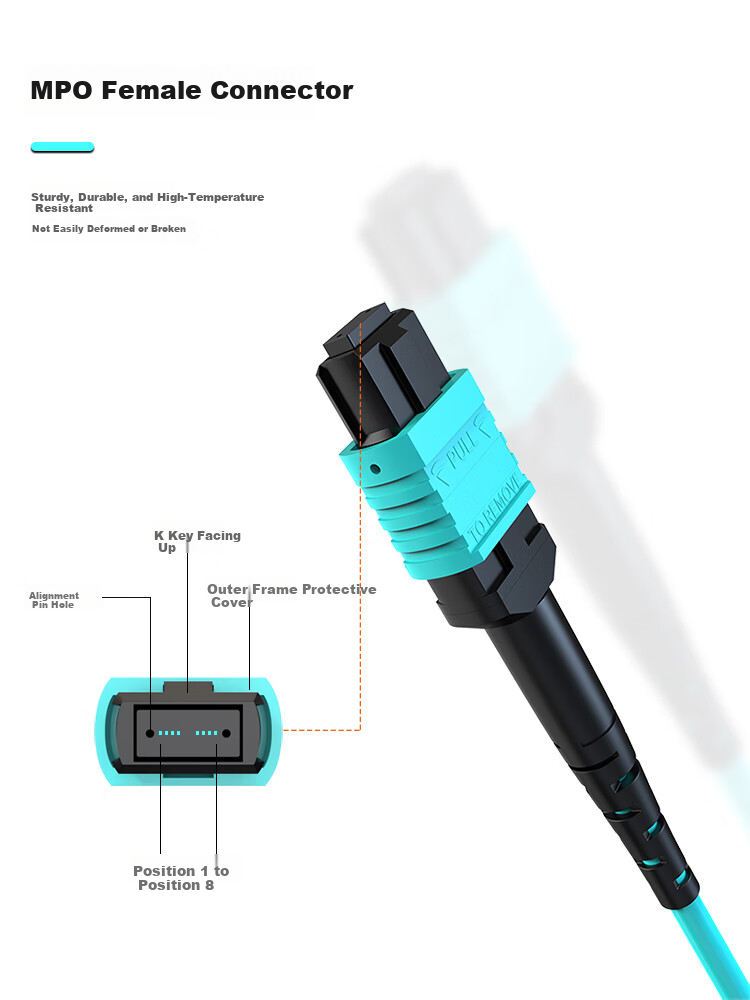 Dashengguang MPO-MPO Fiber Optic Patch Cord 8-Core 10G Multimode OM3 5m Telecom Grade 40G/100G Optical Module Bundle Fiber Cable DSG-8MPO-M35 2