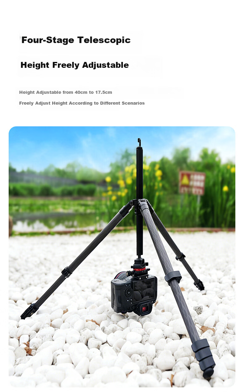 Manfrotto MKELESLLCBK-BH Carbon Fiber Tripod with Ball Head for DSLR and Mirrorless Cameras, Travel Photography and Videography Support Stand 10