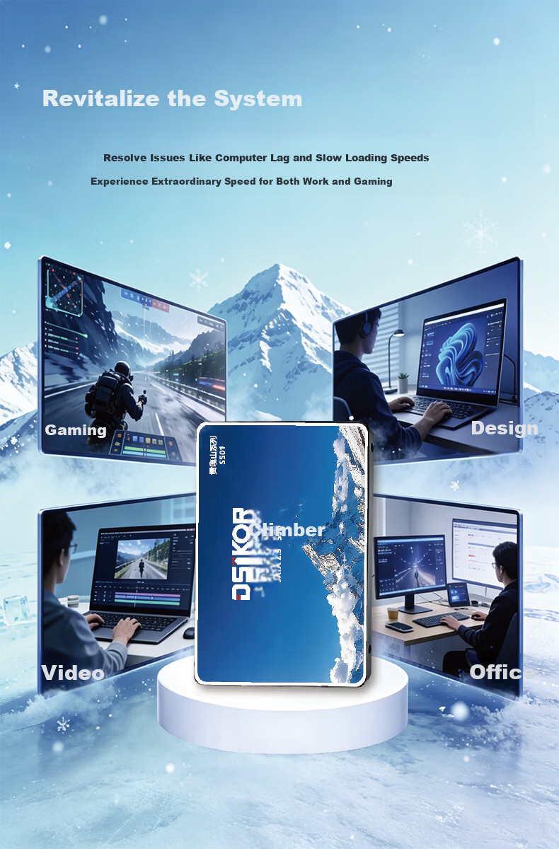 DengGaoZhe 1TB SSD Solid State Drive SATA3.0 High-Speed Premium Quality Chips 550MB/s Read Speed Desktop Laptop Storage Gongga Mountain S501 3