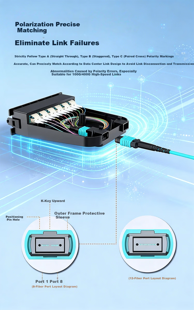 Sanze MPO-MPO Fiber Optic Patch Cord 8-Core OM4 Female 10G Multimode Tail Fiber B Polarity Compatible MTP 40G/100G Bundle Fiber Cable Network Cable 3m G4-PP803 5