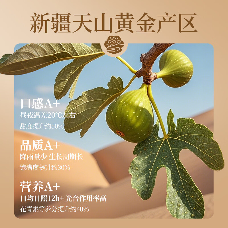 楼兰蜜语无花果干508g/罐无熏硫新疆特产孕妇泡水煲汤送礼水果干零食