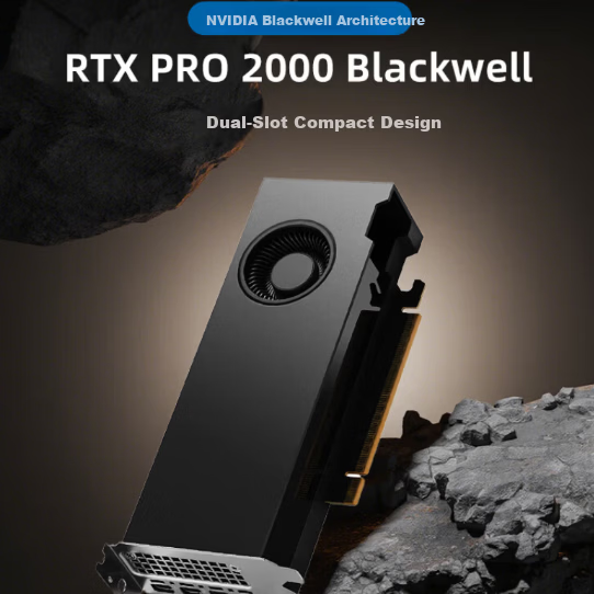NVIDIA RTX PRO 2000 Blackwell 16GB GDDR7 ECC Professional Graphics Card Ray Tracing AI Accelerated Computing Graphics Rendering Entry-Level Professional Choice