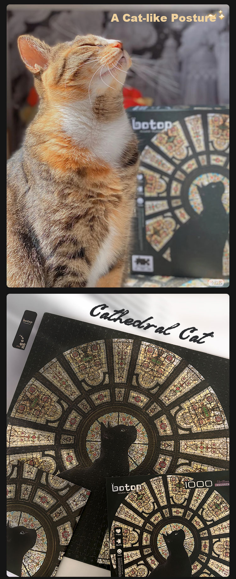 Botop CathedralCat Church Cat Puzzle 1000 Pieces Imported Black Card Flash Stress Relief Toy Birthday Christmas Gift 3