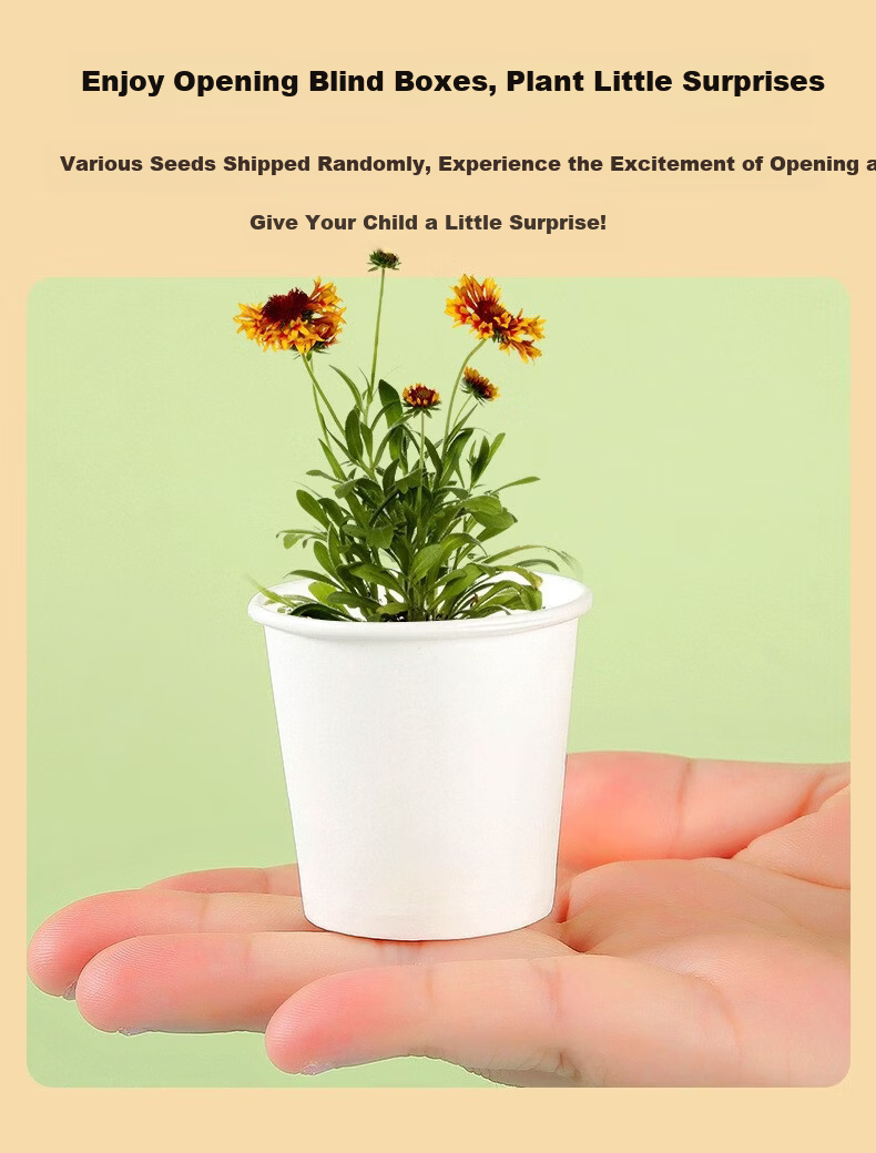 Dancing Elephant Planting Seed Blind Box Children's Day Gift Toy Mini Potted Plant Reward Gift for Elementary and Kindergarten Students 10