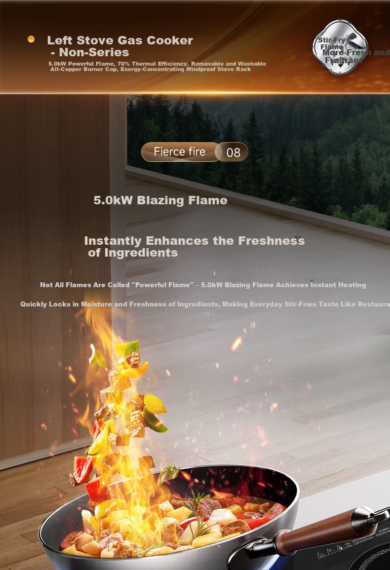 Royalstar Extraordinary Series Dual Fuel Gas and Electric Stove Built-in Household Liquefied Gas Double Burner One Gas One Electric Two-in-One Stove JZDY-30B1 Right 10