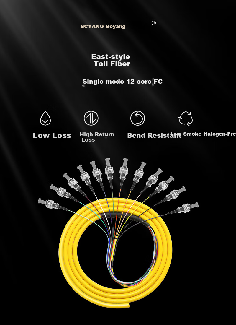 BOYANG BY-FC12 Telecom Grade Single-Mode Fiber Optic Patch Cord 1.2m 12-Core FC Bundle Fiber Optic Pigtail ODF Unit Fiber Optic Rack Network Cable Distribution 1