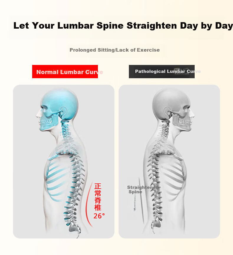 Zhunhang Lumbar Support Pillow Waist Cushion Sleeping Bed Lumbar Pad Maternity Lumbar Disc Herniation Flat Back Support 6