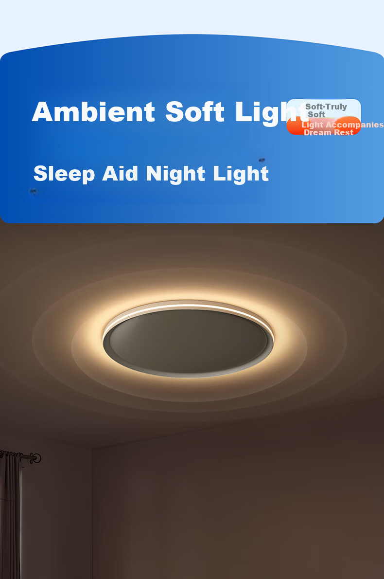 HP Pure Eye Protection Ceiling Light for Bedroom Study Children's Room High Brightness Side Emission Modern Simple Zhongshan Lighting Morning Light 17