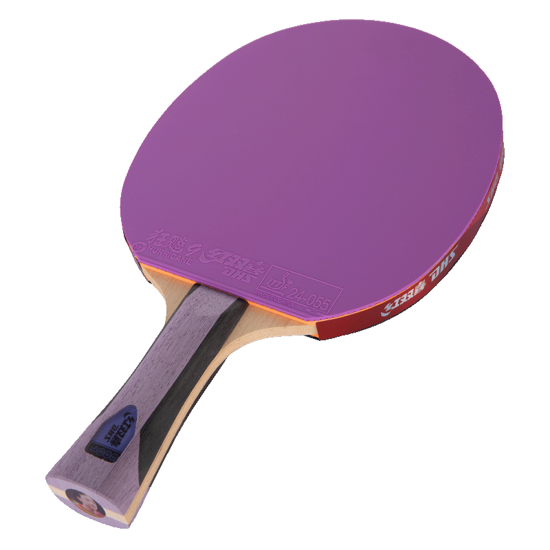 DHS Kuangbiao Purple Six-Star Table Tennis Paddle, Penhold Grip, Competition Grade, 5-Ply Pure Wood F6001 with Ball Included