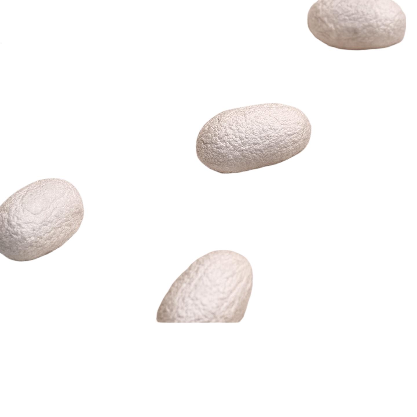 White Image 1