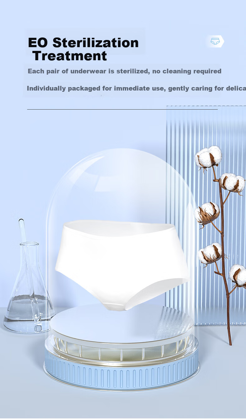 Grace Disposable Travel Cotton Women's Underwear Maternity Wash-Free Portable 5-Pack 3XL 4