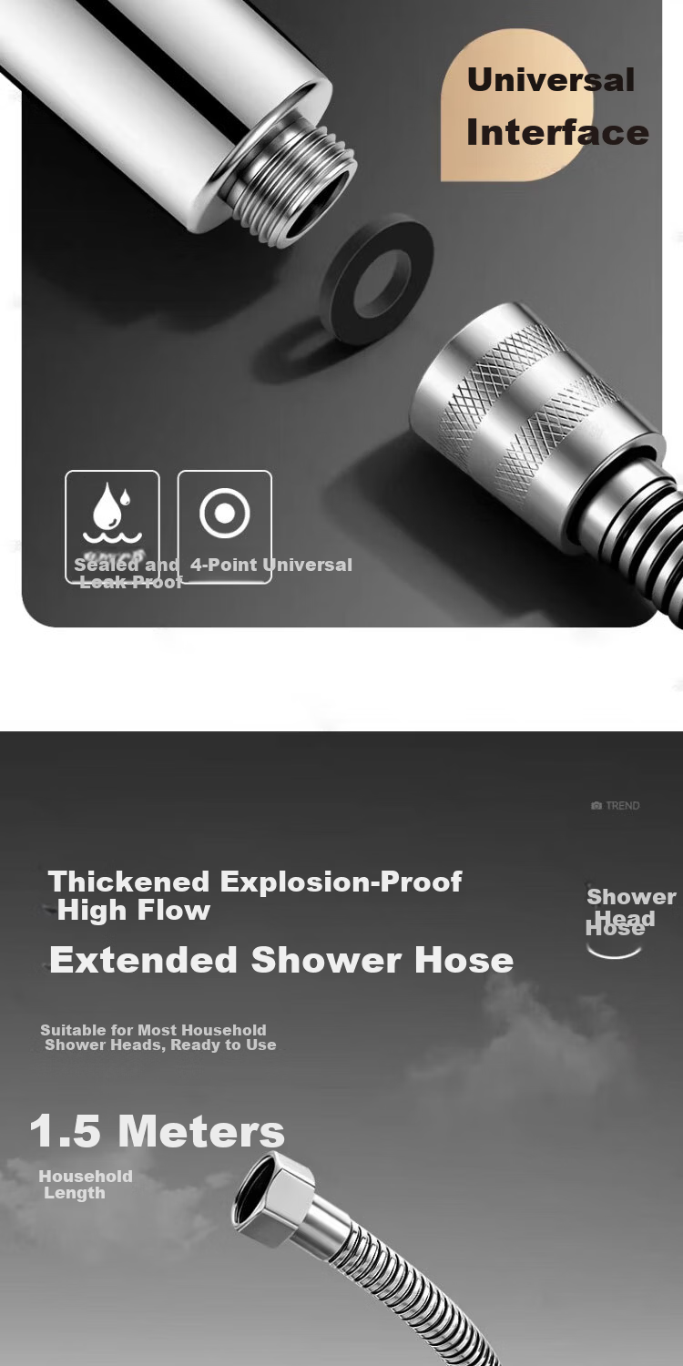 Del 28-Year Brand Pressurized Shower Head Bathroom Handheld Filtered Showerhead Set DP-01 9