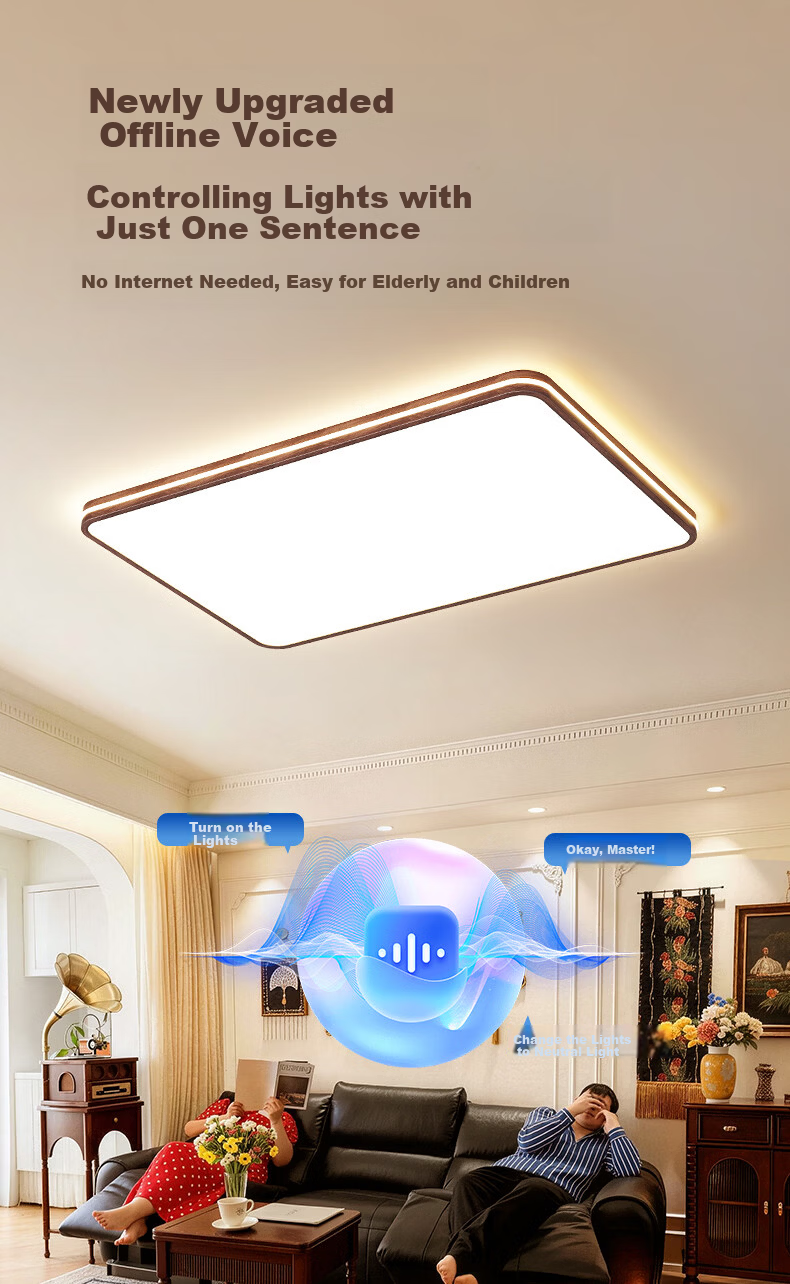 HP Bedroom Ceiling Light Pure Eye Protection Vintage Style High Brightness Children's Room Zhongshan Lighting Zhenzhiguang with Installation 18