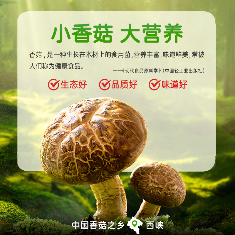 仲景 香辣味香菇酱450g 拌饭拌面夹馍下饭酱菜蘑菇调味酱