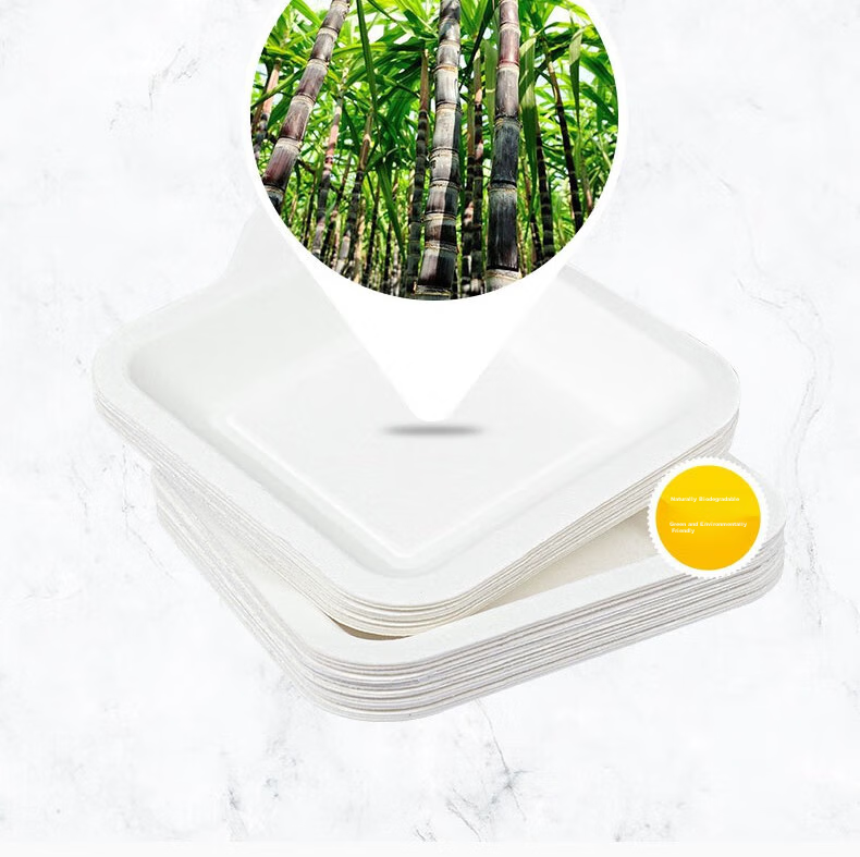 E-Rover Disposable Barbecue Paper Plates, Biodegradable Cake Paper Plates, Thickened Outdoor Barbecue Bowls, Set of 24 6