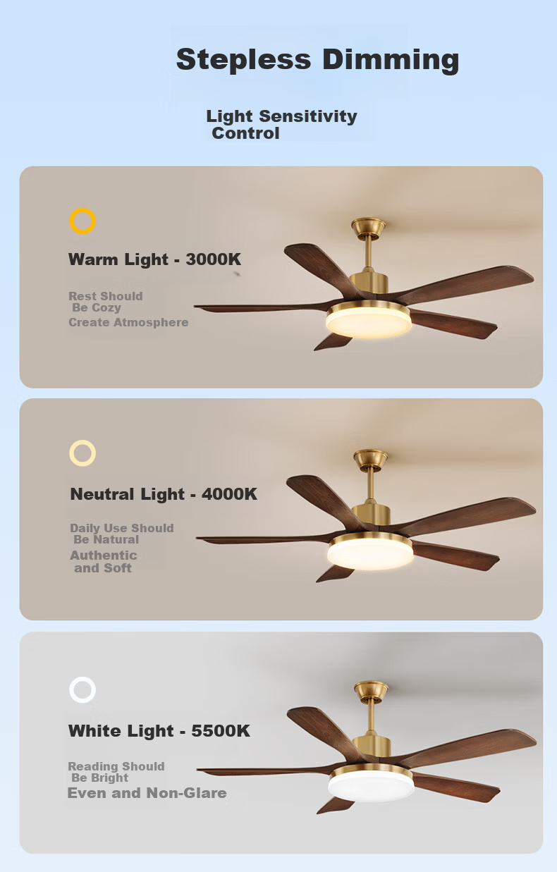 HP Eye-Care LED Vintage Style Remote Dimmable Integrated Ceiling Fan Light Zhongshan Lighting with Installation Package 12