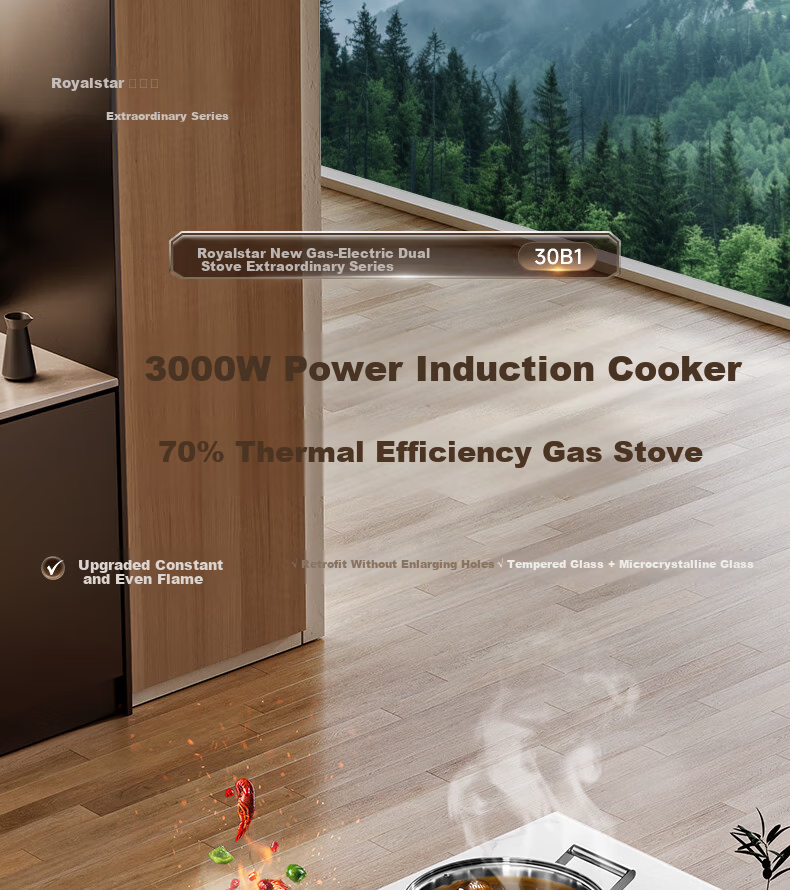 Royalstar Extraordinary Series Dual Fuel Gas and Electric Stove Built-in Household Liquefied Gas Double Burner One Gas One Electric Two-in-One Stove JZDY-30B1 Right 3