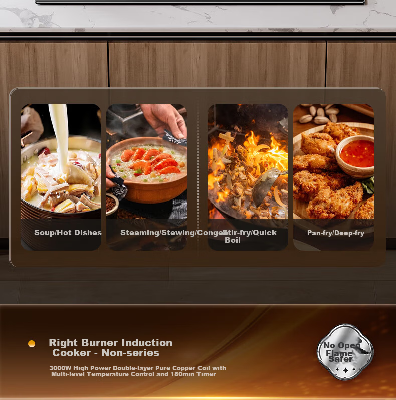 Royalstar Extraordinary Series Dual Fuel Gas and Electric Stove Built-in Household Liquefied Gas Double Burner One Gas One Electric Two-in-One Stove JZDY-30B1 Right 6
