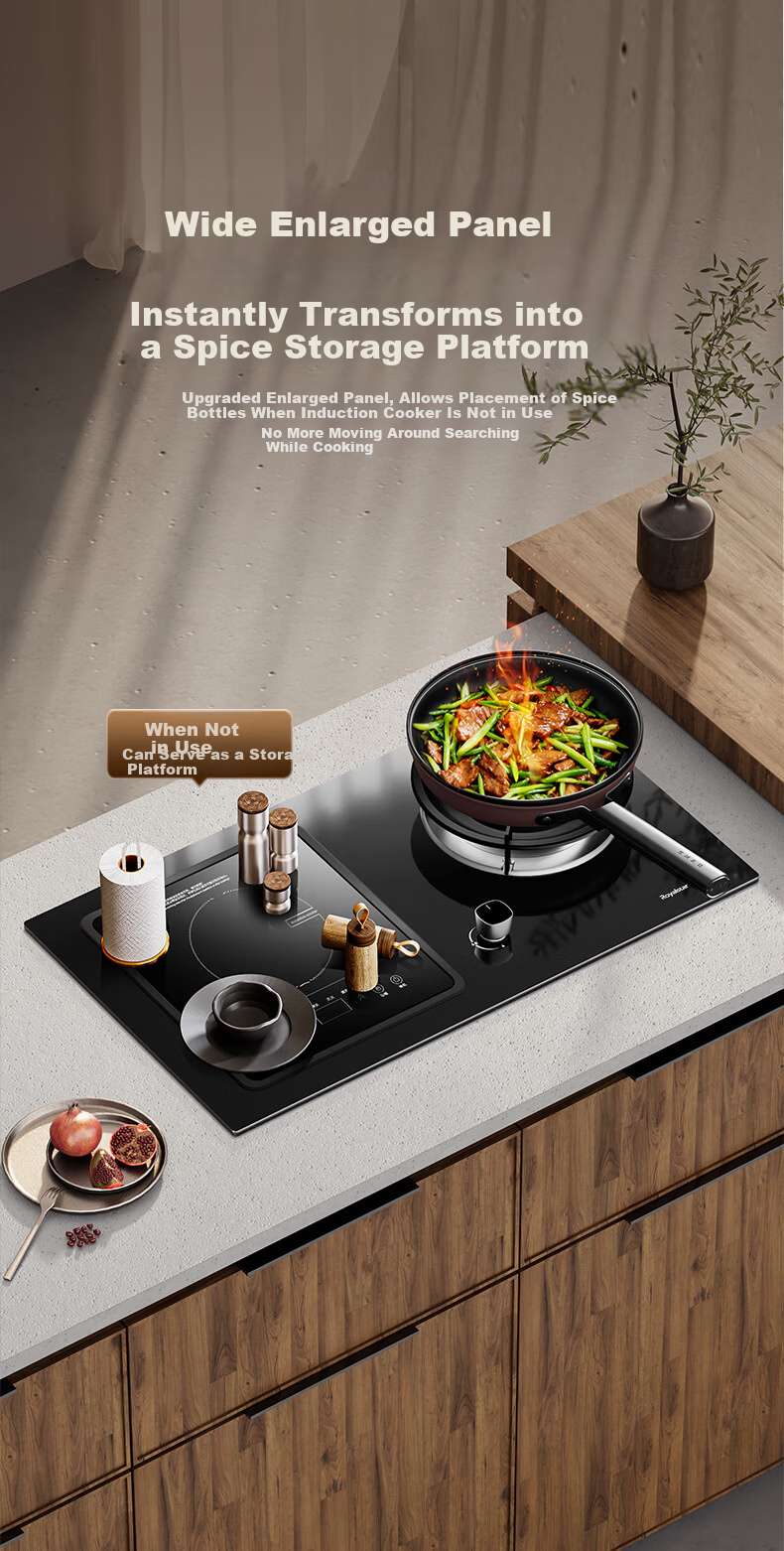 Royalstar Extraordinary Series Dual Fuel Gas and Electric Stove Built-in Double Burner Gas Cooker with Copper Burner Cap JZDY-25A1 Left 7