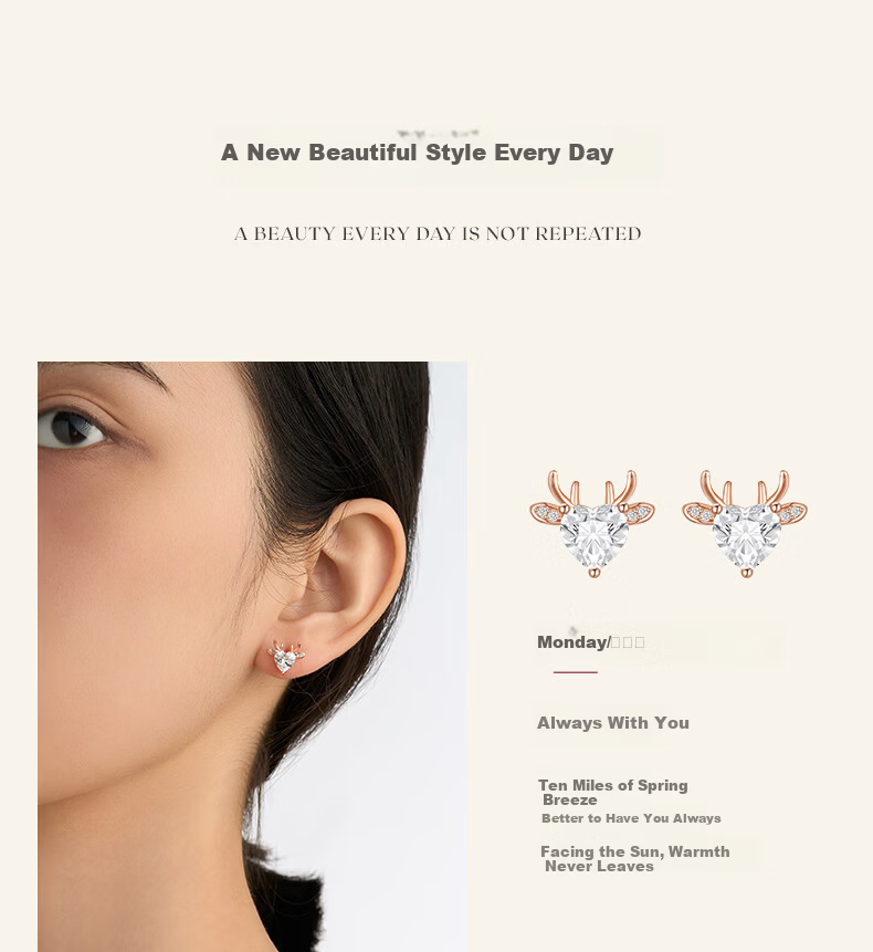 Burberry Luxury Weekly Stud Earrings for Women 2026 New Niche High-End Birthday Gift for Girlfriend Wife 6