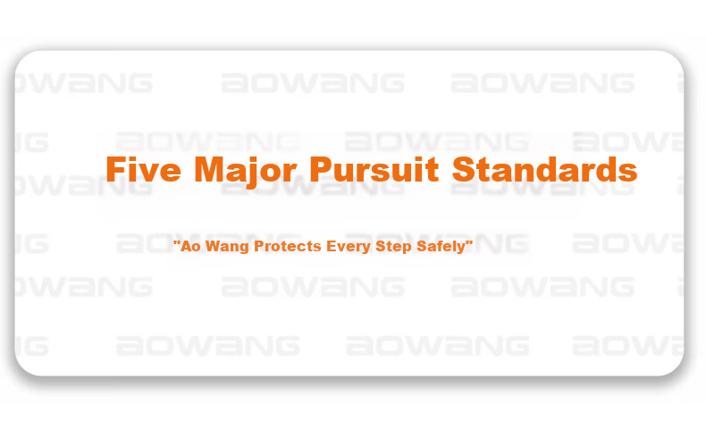 AOWANG Ultra-Light Soft Sole Safety Work Shoes Anti-Smash Anti-Puncture Insulated 10KV Wide Toe Comfortable Protective Electrician Shoes AW-925-45 5