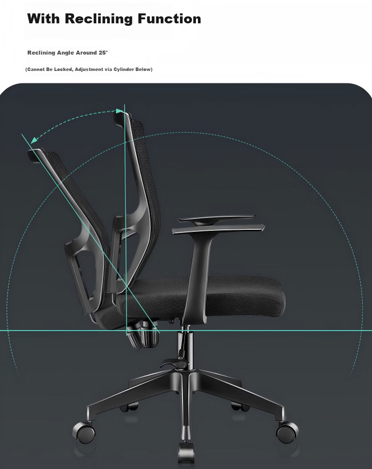 SGMW Computer Chair Home Office Chair Ergonomic Backrest Study Swivel Chair Executive Seat Gaming Esports Chair 9