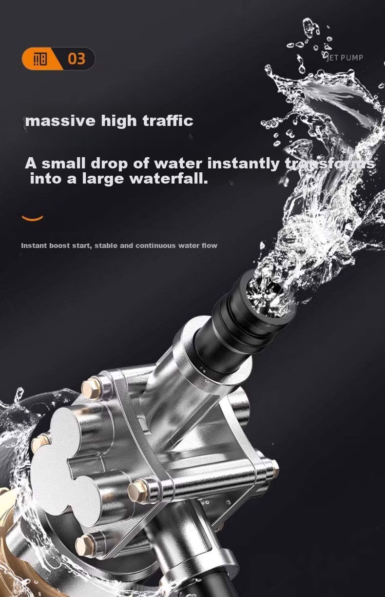 Delixi 304 Stainless Steel Intelligent Frequency Conversion Jet Pump Corrosion Resistant Rustproof Quiet Fully Automatic Household Irrigation Well Water Pump 13