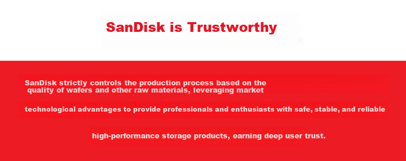 SanDisk 2TB Type-C USB 3.2 Flash Drive DDC4 400MB/s High-Speed Mobile and PC Dual Interface Metal Large Capacity USB Drive 9