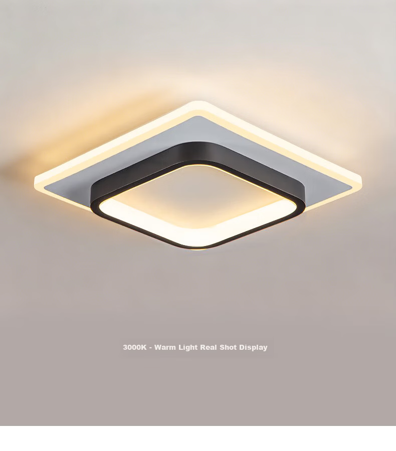 Dengling Ultra-thin LED Corridor Ceiling Light Modern Minimalist Nordic Cloakroom Popular Entrance Balcony Hallway Light 13