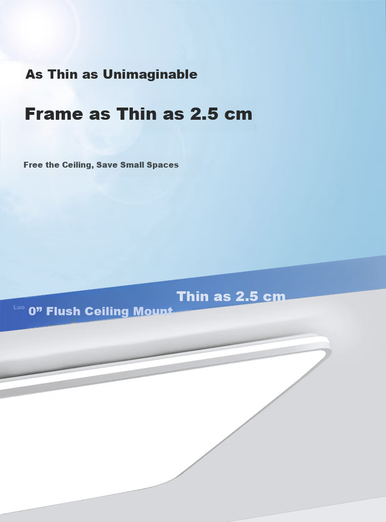 Dell Modern Minimalist Ceiling Light Ultra-Bright LED Eye-Care Living Room Bedroom Dining Lamp Zhongshan Lighting 21