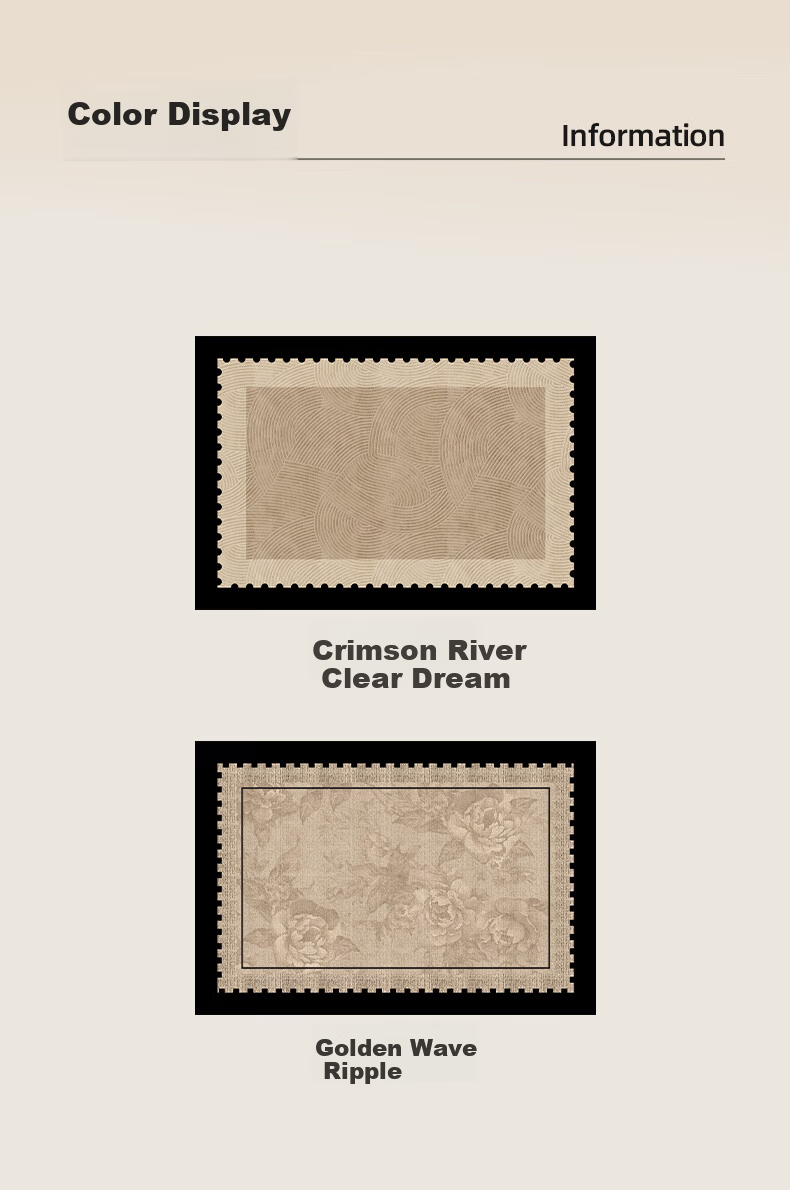 STIMANNI CITY·MANNI Premium Entrance Door Mat Indoor Home Non-Slip Mud-Proof Shoe Changing Floor Mat Living Room Coffee Table Rug 6