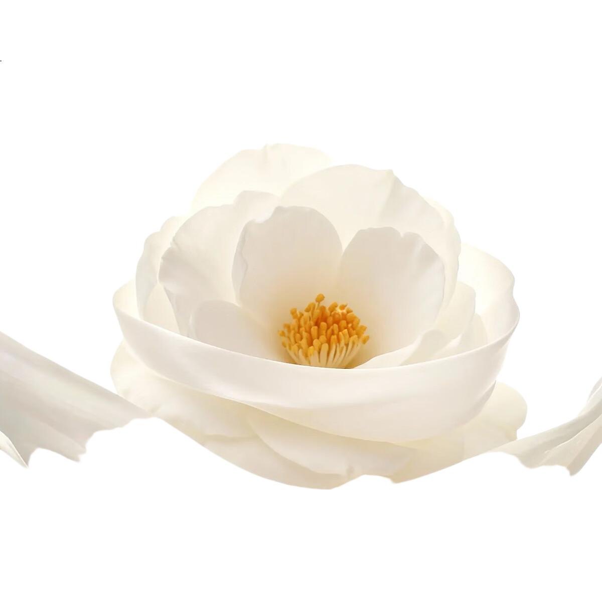 White Image 2