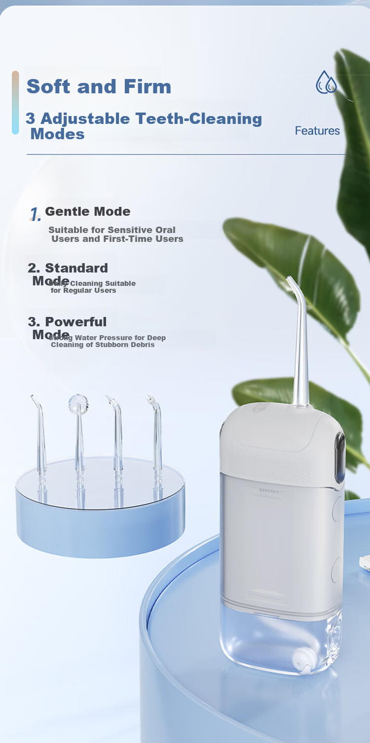 Meebordi Portable Water Flosser 2026 New Model Dental Cleaner Tartar Remover Oral Irrigator Water Floss Birthday Gift Price Protection 618 5
