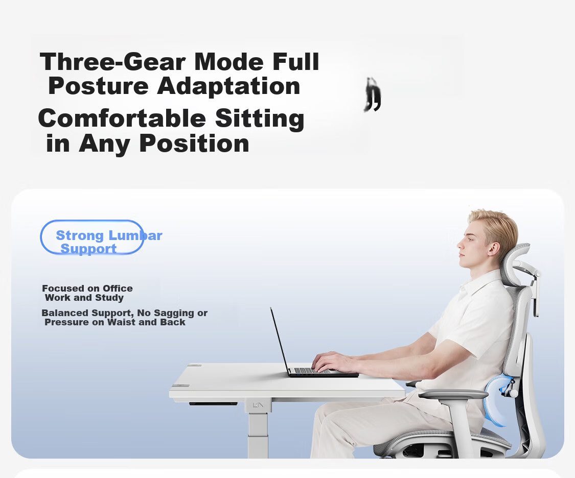 HeiLing B2 Pro Ergonomic Computer Gaming Office Chair Swivel Desk Chair Artificial Ergonomics Staff Chair Midnight Black 8