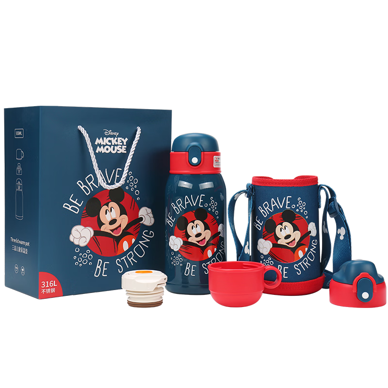 Disney Insulated Water Bottle for Children, Student 316 Stainless Steel Straw Cup with Direct Drinking Spout, Gift Box Set for Kindergarten, 650ml
