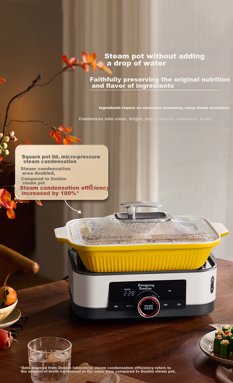 Donlim 618 Price Protection Electric Steamer Multi-Functional Steaming and Stewing Pot Double-Layer Stainless Steel 1005 Upgraded Large Capacity Steam Cooker with Reservation Timer for 3-4 People DL-3 9