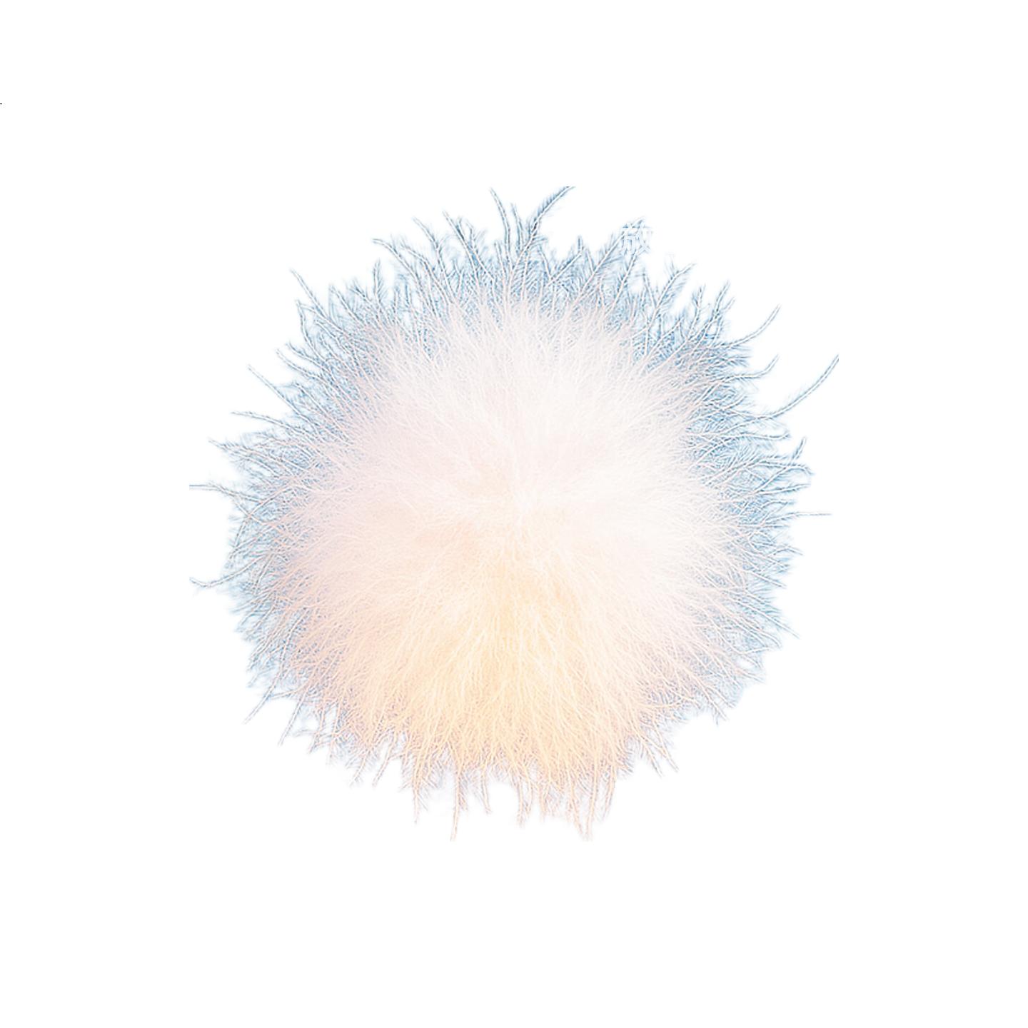 White Image 2