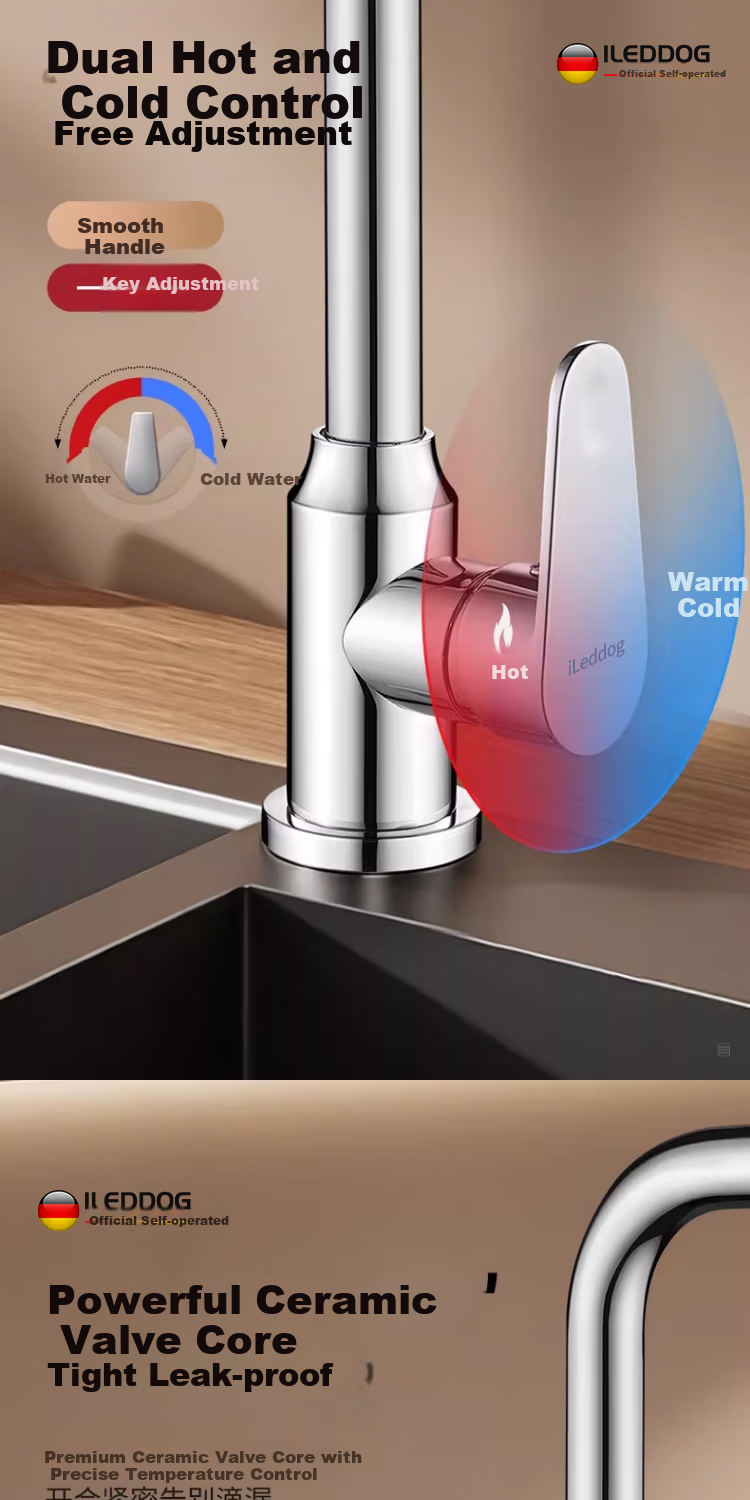 ILeddog [Germany] All-Copper Kitchen Faucet Household Vegetable Sink Pressurized Splash-Proof Hot and Cold Faucet CFLT-LR 11