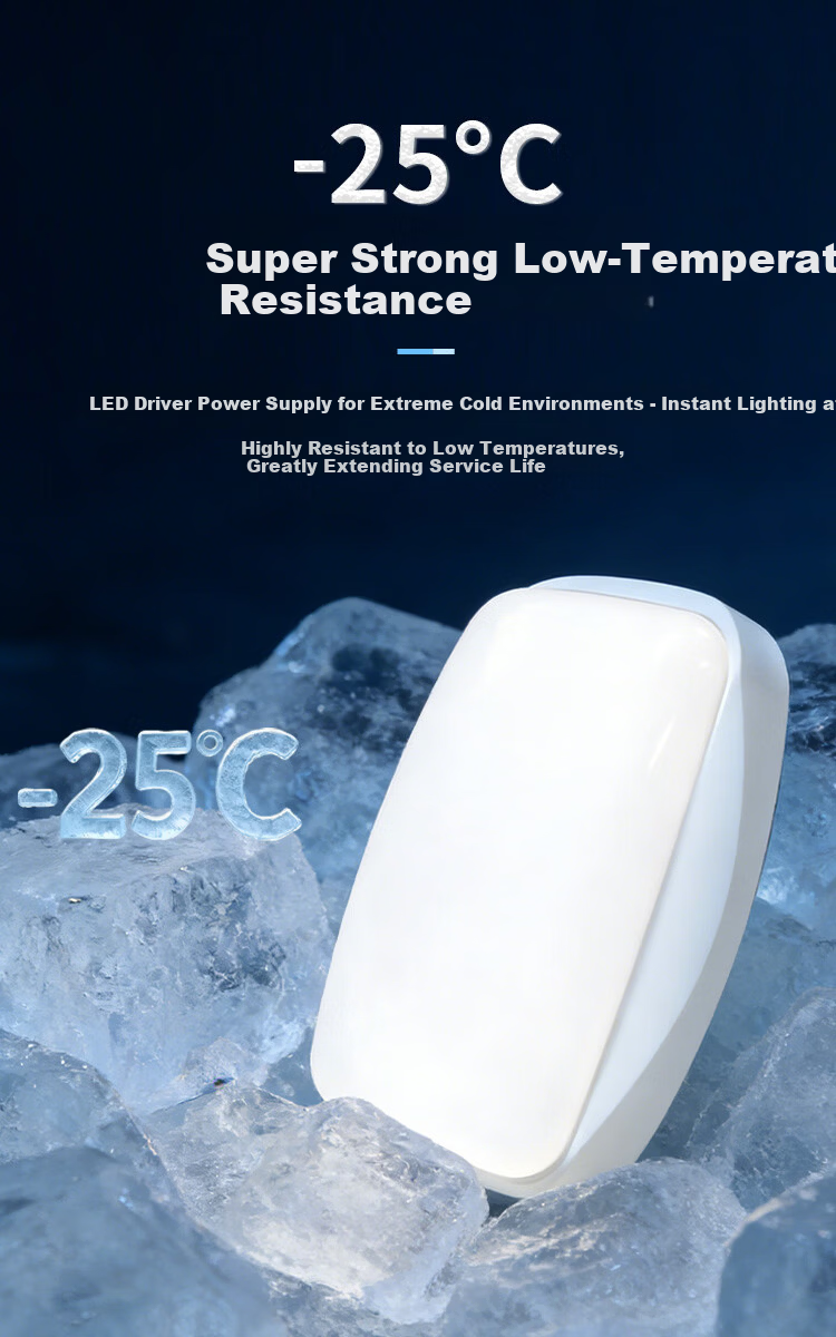 CARE LED Cold Storage Light Moisture-Proof Waterproof Insect-Resistant Ceiling Light Three-Proof Light Frost-Resistant Moisture-Proof Round 15W White Light 6500K 1 Piece 6
