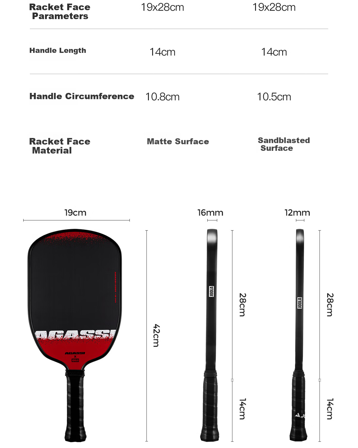 JOOLA Agassi Collaboration Fiberglass Beginner Table Tennis Paddle - Agassi Champion 12mm 18