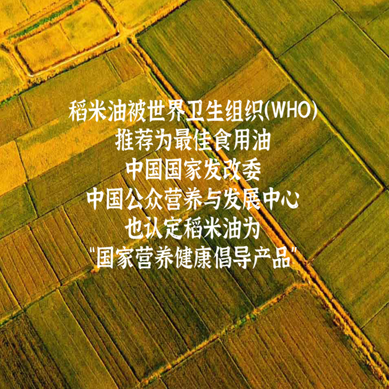 万穗稻米油4L 京东自营食用油 家庭桶装  谷维素含量12000ppm