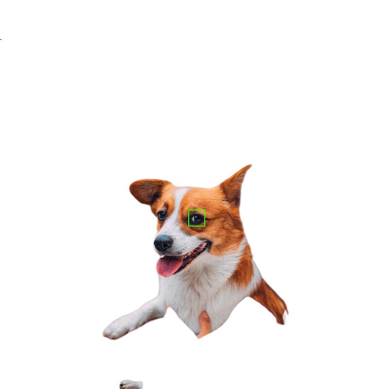 White Image 2