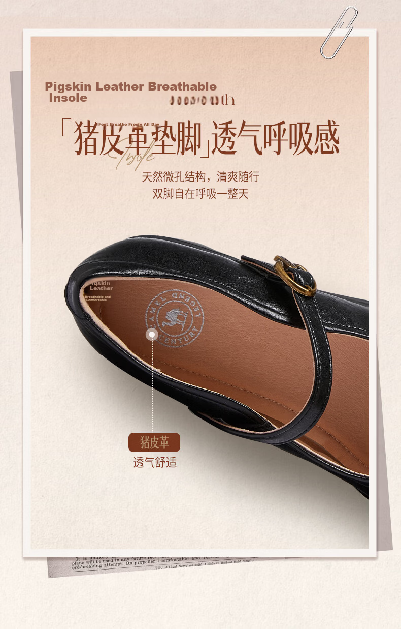 CAMEL Mary Jane Women's Casual Commuter Buckle Strap Chunky Heel Low-Cut Single Shoes L26S504057 Brown Size 40 10