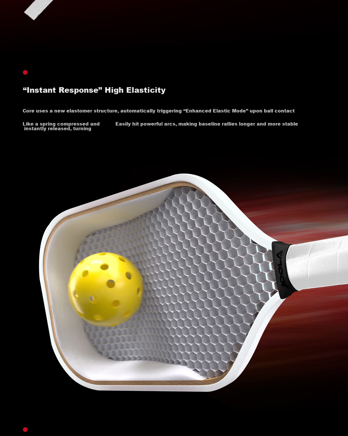 JOOLA Agassi Collaboration Fiberglass Beginner Table Tennis Paddle - Agassi Champion 12mm 12