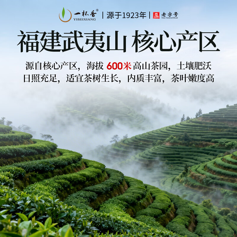 一杯香茶叶乌龙茶武夷山正岩大红袍250g礼盒装送礼自己喝茗茶散装