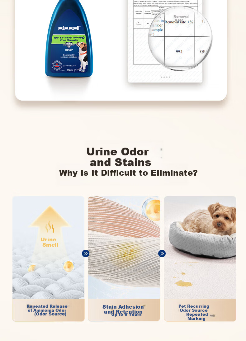 BISSELL Steam Cleaning Kit High-Temperature Steam Cleaner Mite Removal Sterilization All-in-One Washer High-Pressure Air Conditioner Cleaner Sofa Carpet Cleaner Household Mop Tool 20