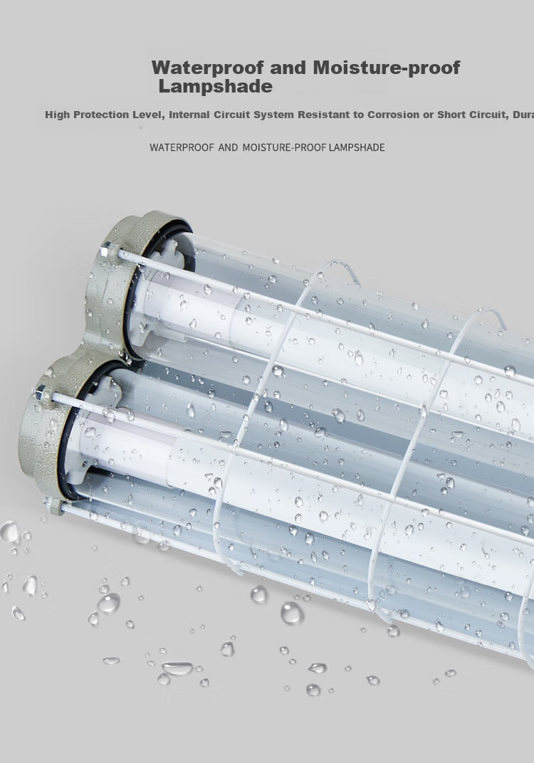 Biuyum Explosion-Proof LED Tube Light, Daylight, Factory Workshop Lighting, White Light, 1.2m Single Tube, 40W 5