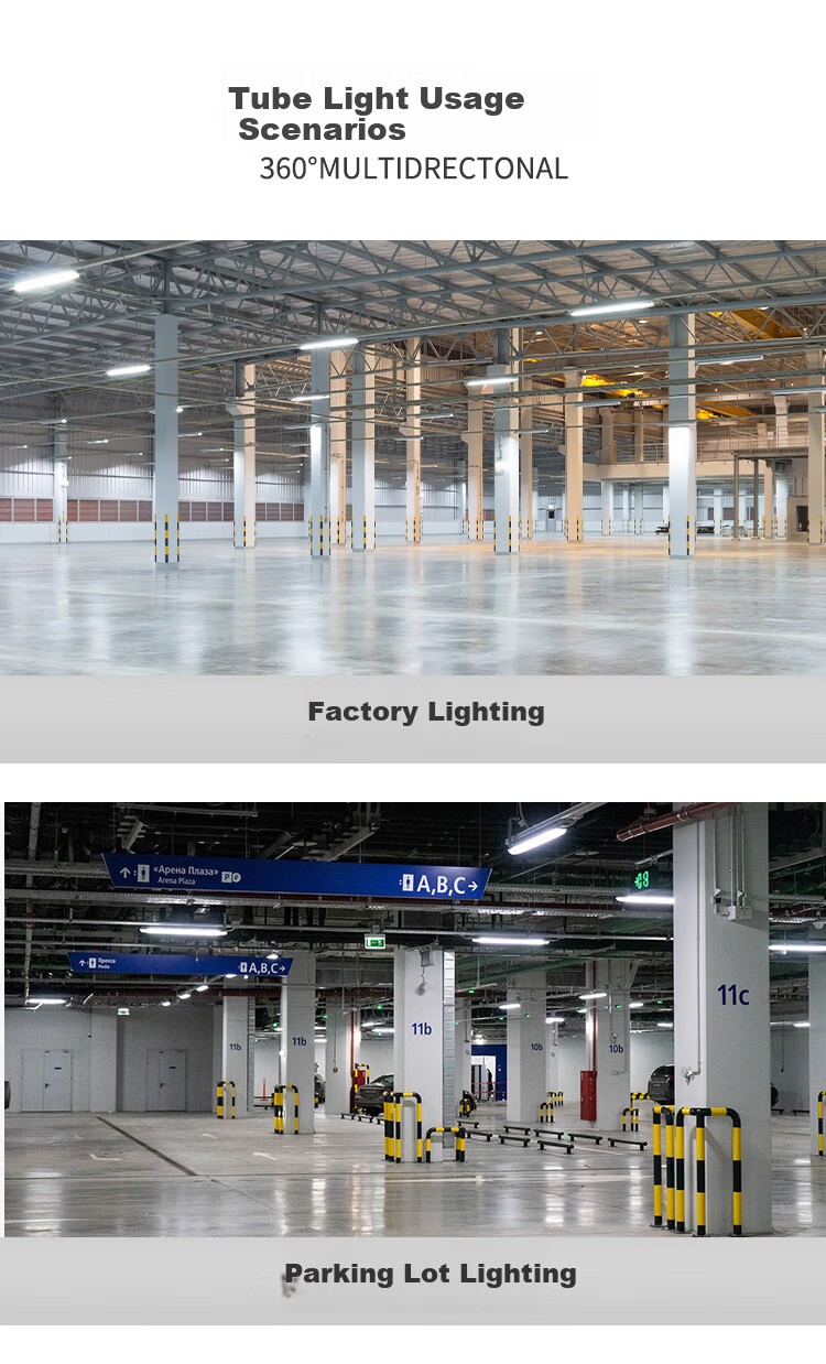 Biuyum Explosion-Proof LED Tube Light, Daylight, Factory Workshop Lighting, White Light, 1.2m Single Tube, 40W 8